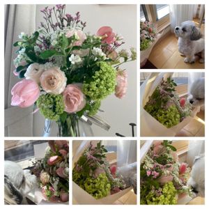花束,❇︎ラナンキュラス,ありがとう♡,チューリップ 切り花,ビバーナム　スノーボールの画像