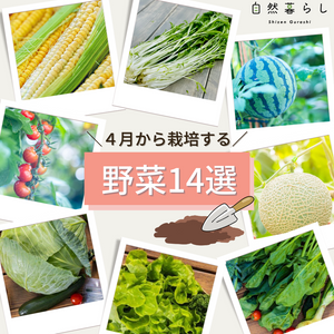 ガーデニング,植物のある暮らし,肥料,プランター栽培,ベランダ菜園の画像