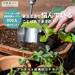 ガーデニング,植物のある暮らし,肥料,プランター栽培,ベランダ菜園の画像