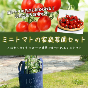 ガーデニング,初収穫,プランター菜園,ベランダ菜園,野菜作りの画像