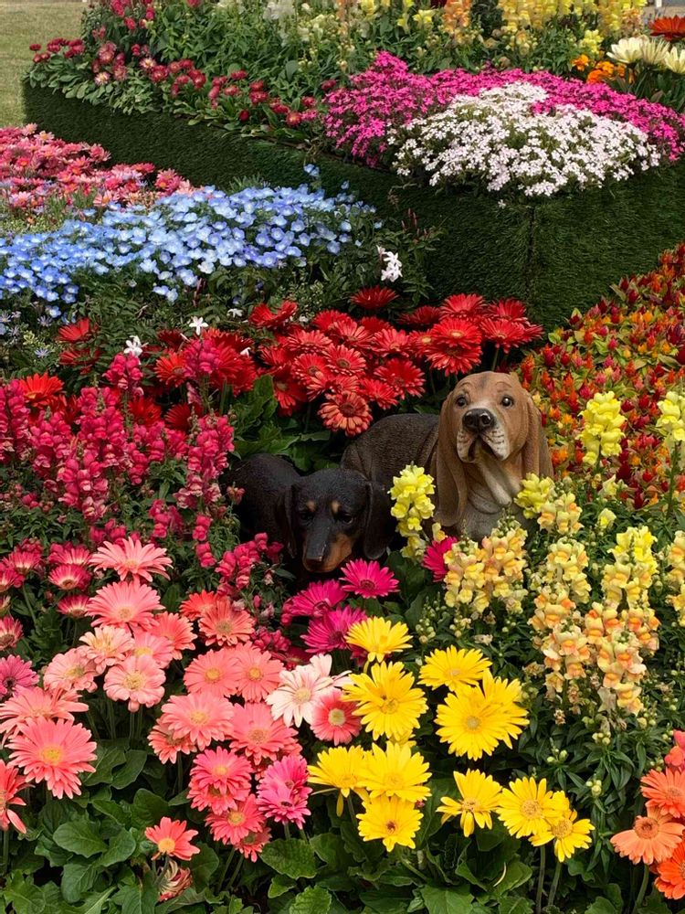 ルイさんの山下公園への投稿