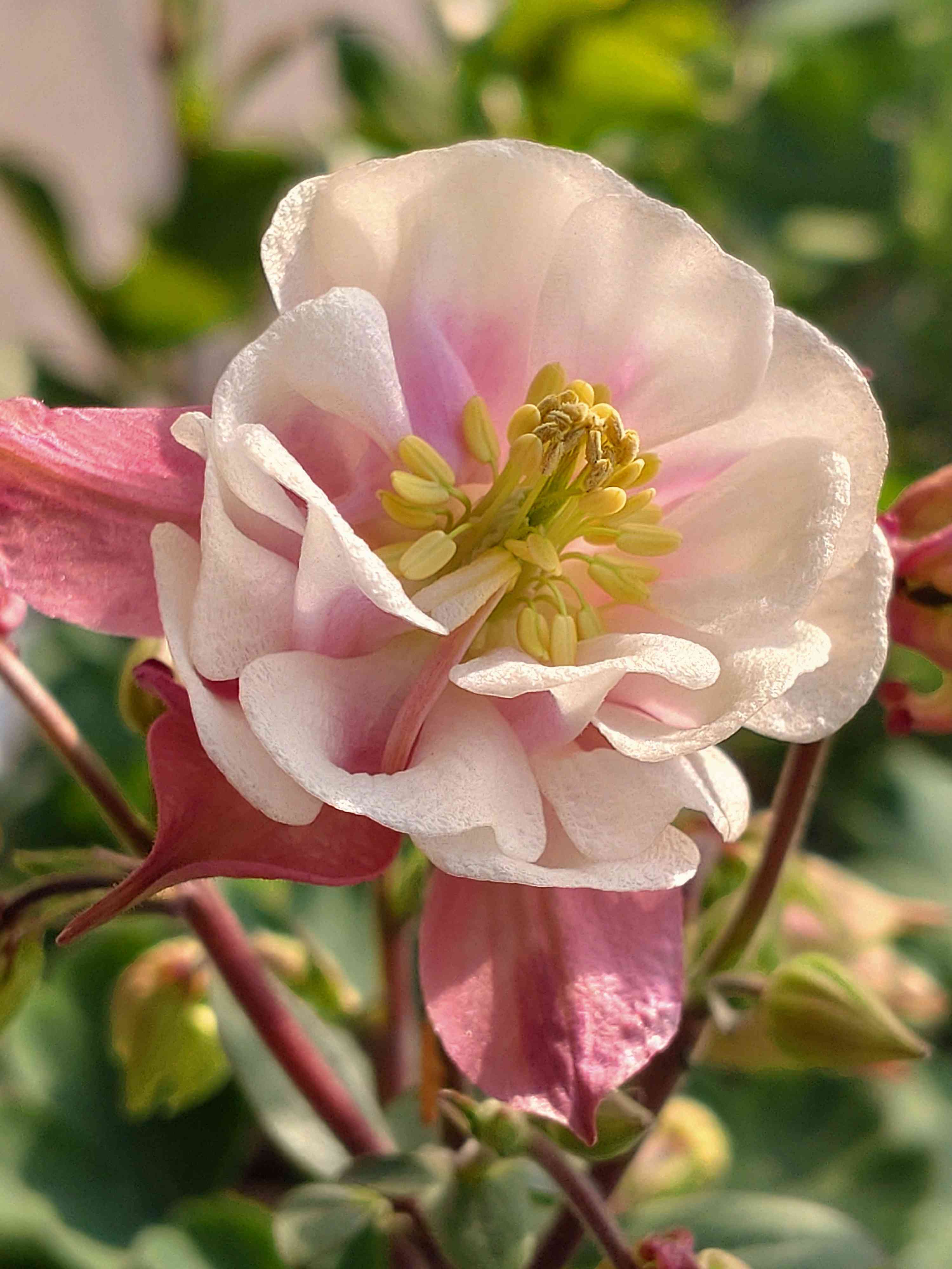 1681612217774_717496_20230416_