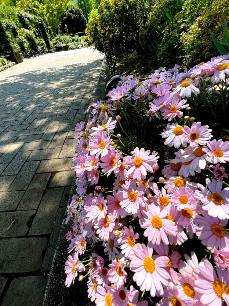 ぽに丸さんの山下公園への投稿