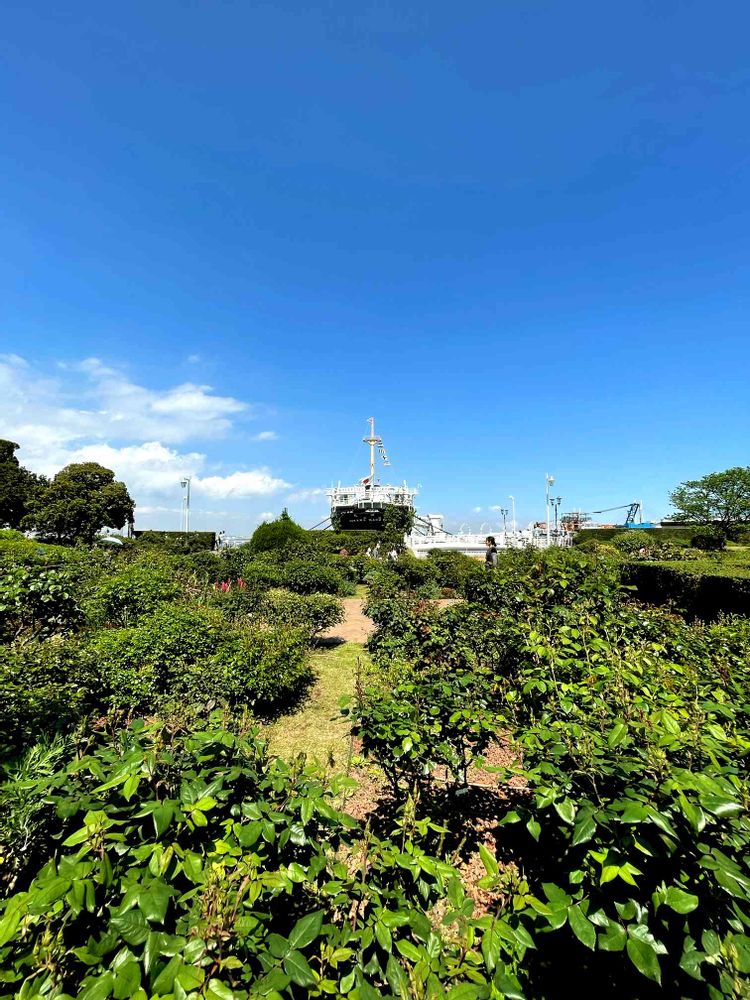 ぽに丸さんの山下公園への投稿