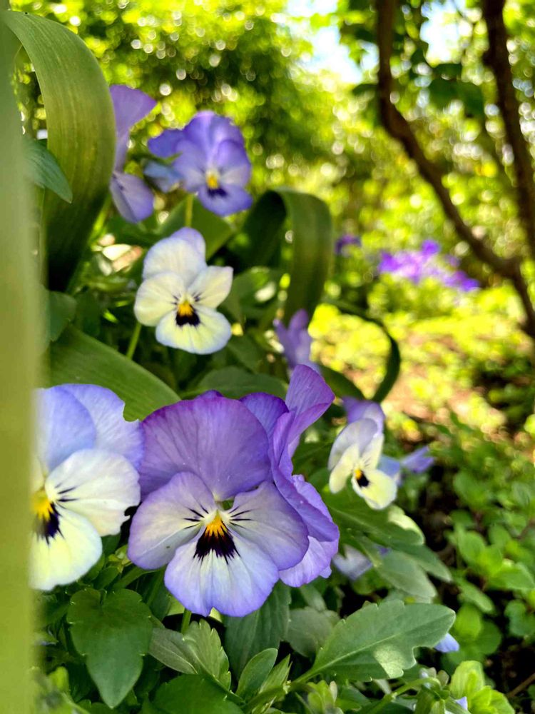 ぽに丸さんの山下公園への投稿