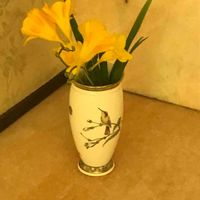 フリージア,フリージア,ビタミンカラー,花のある暮らし,花のある生活の画像