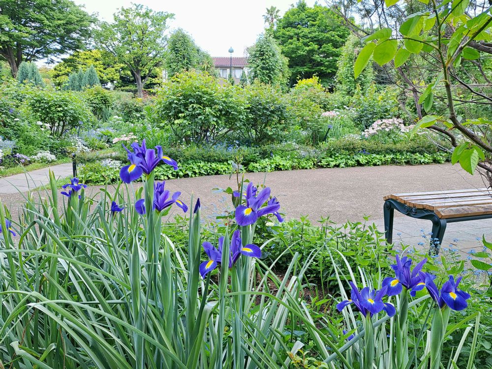 エリィさんの港の見える丘公園への投稿