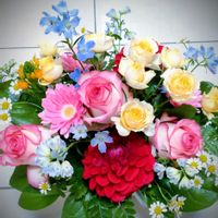 ガーベラ,ガーベラ,ダリア,ダリア,バラの画像