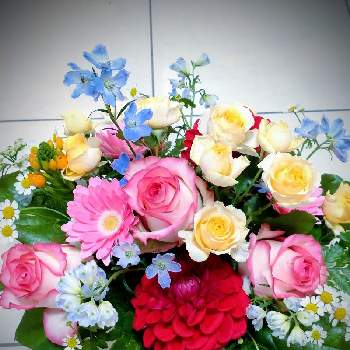 ガーベラ,ガーベラ,ダリア,ダリア,バラの画像