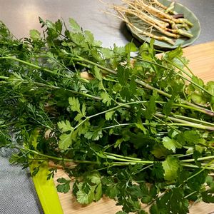パクチー,パクチー,コリアンダー,コリアンダー,シャンツァイの画像