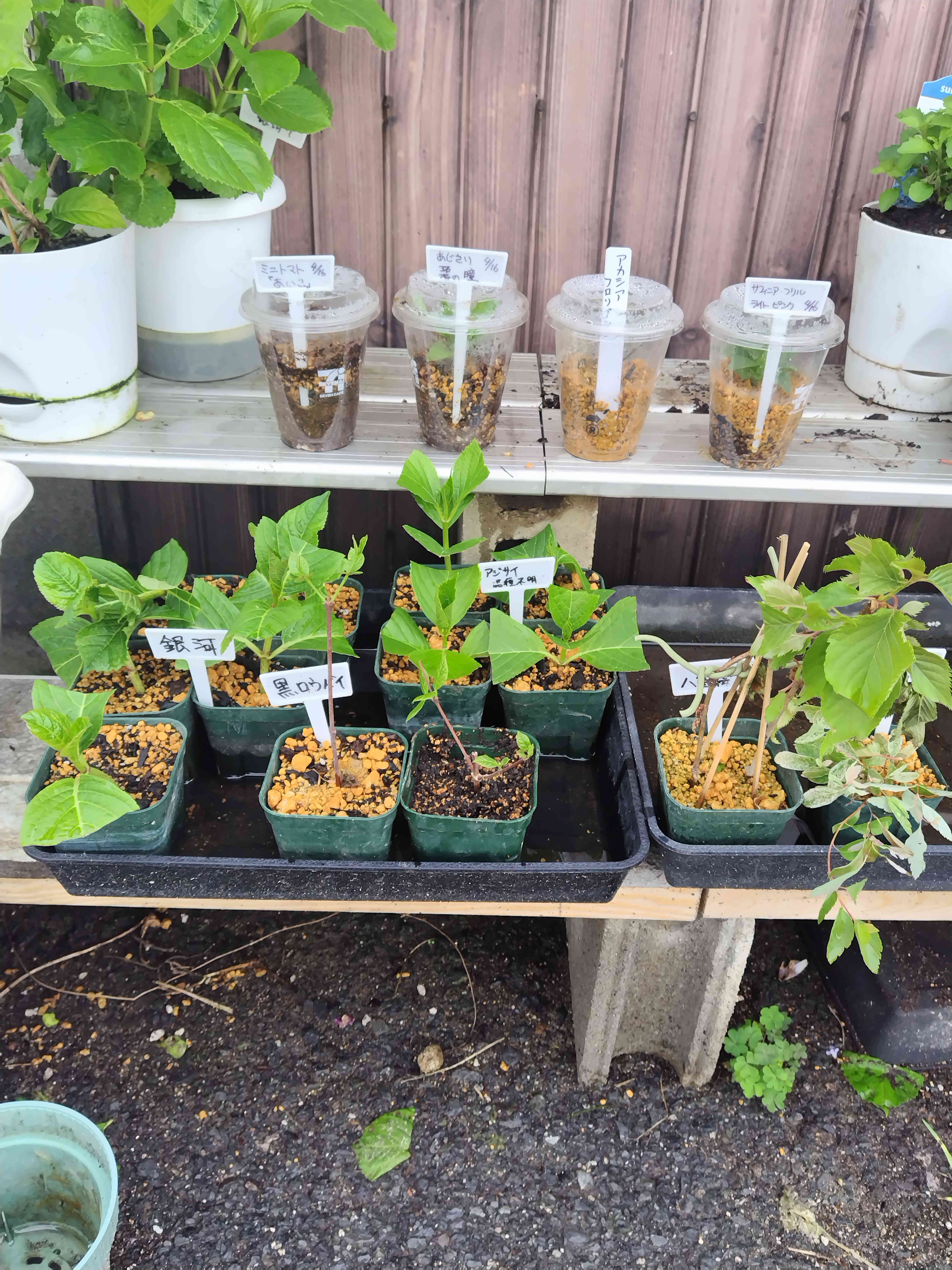 1682151053516_163079_20230422_