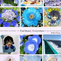 アジサイ,ガーベラ,ネモフィラ,デルフィニウム,東京湾 釣りの画像