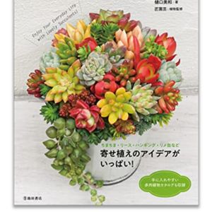 寄せ植え,多肉植物,ちまちま寄せ,テラコッタ鉢,多肉植物の鉢の画像