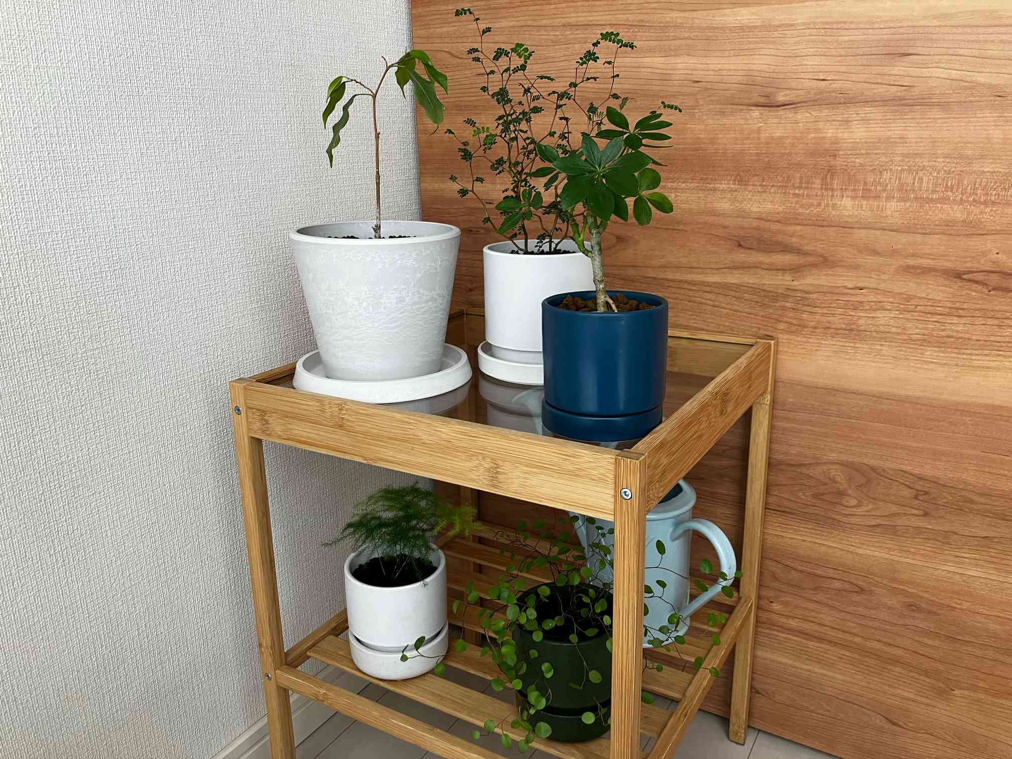 ネスナ♡IKEA 頼もしい