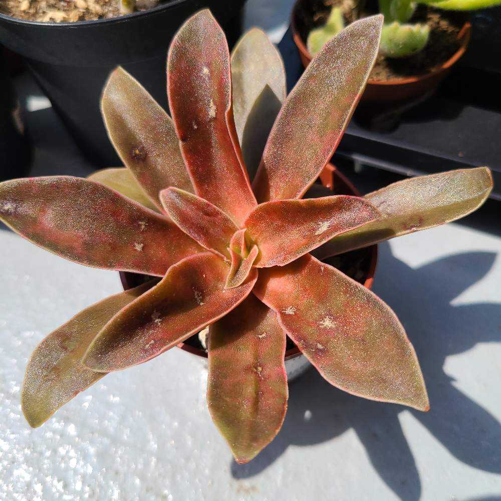 1682241207164_thum_192787_2023