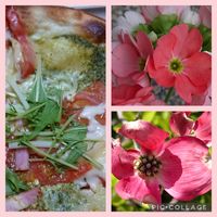 水菜,ハナミズキ,かおるんるんさんを見守りたい!,コラージュ仲間達,食べられる葉の画像