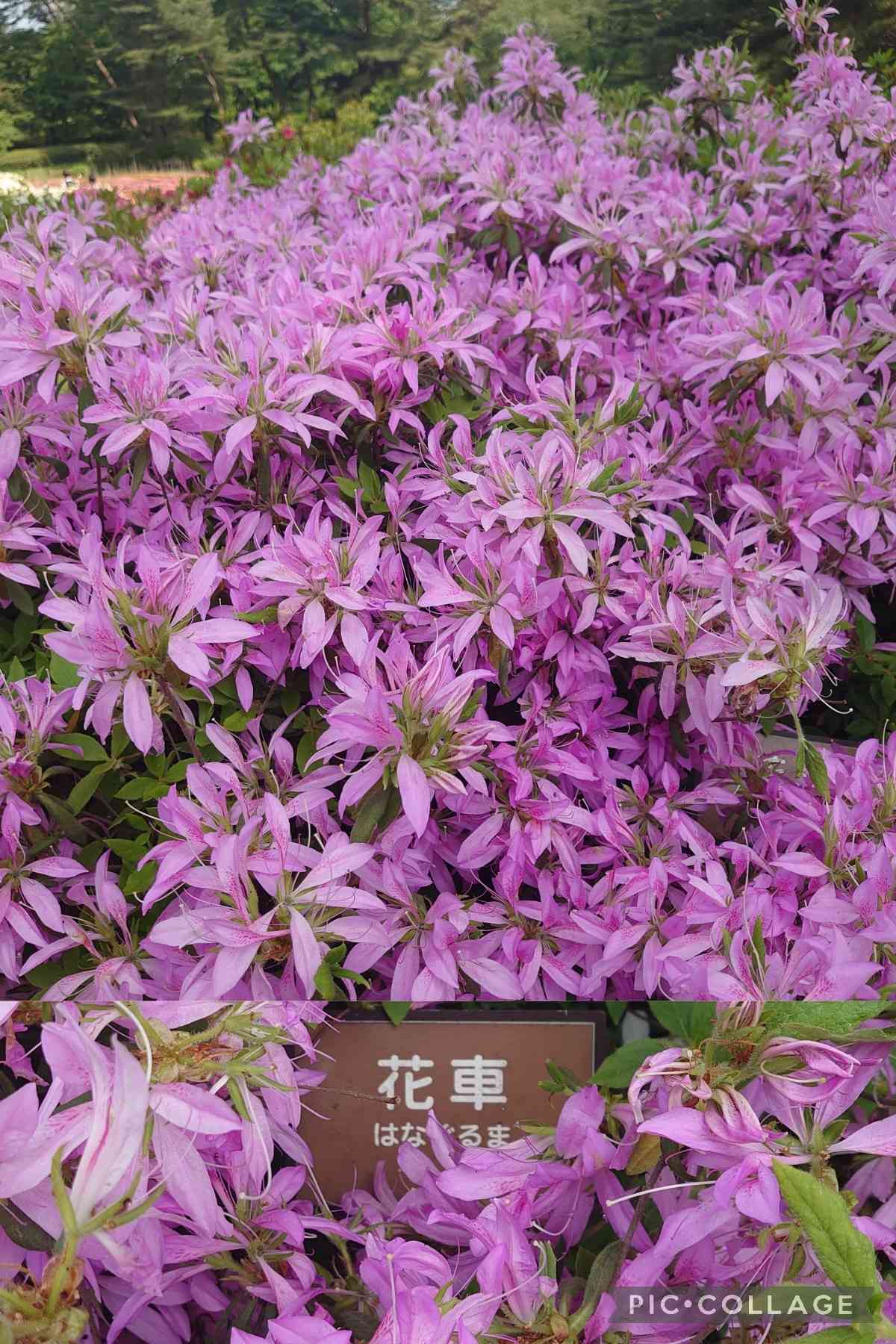 1682750964056_446448_20230429_