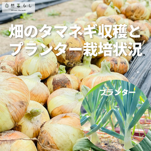 ガーデニング,植物のある暮らし,肥料,プランター栽培,ベランダ菜園の画像