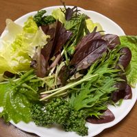 レタス,シソ,パセリ,水菜,ベビーリーフの画像