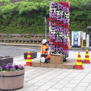 感謝,花のある暮らし,綺麗,植栽,素敵の画像