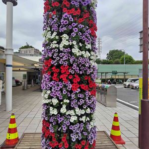 感謝,花のある暮らし,綺麗,植栽,素敵の画像