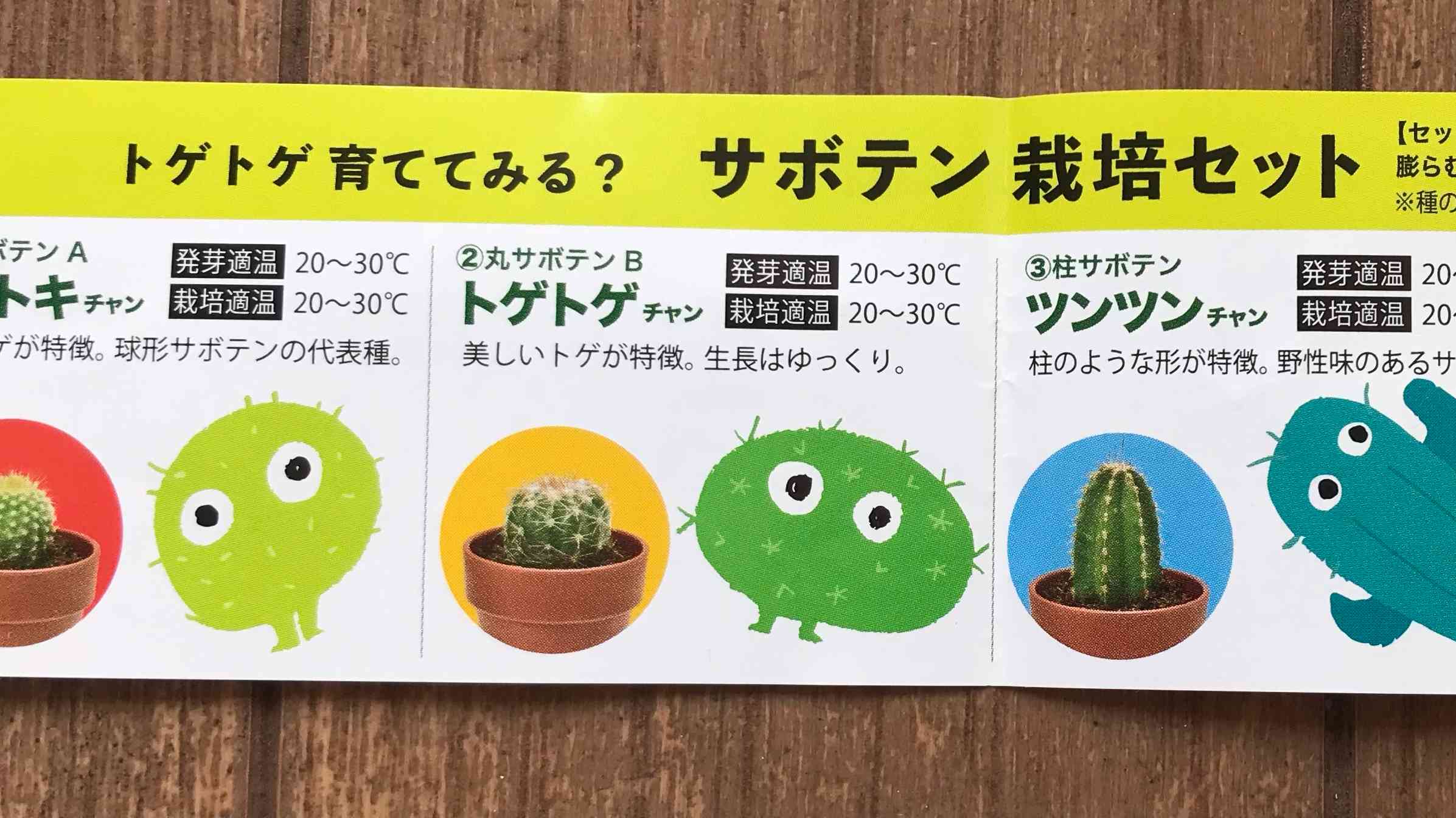 ガチャガチャサボテン🌵｜🍀GreenSnap（グリーンスナップ）
