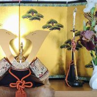 ジャーマンアイリス,ジャーマンアイリス(紫),ジャーマンアイリス(白),元気！,花のある暮らしの画像