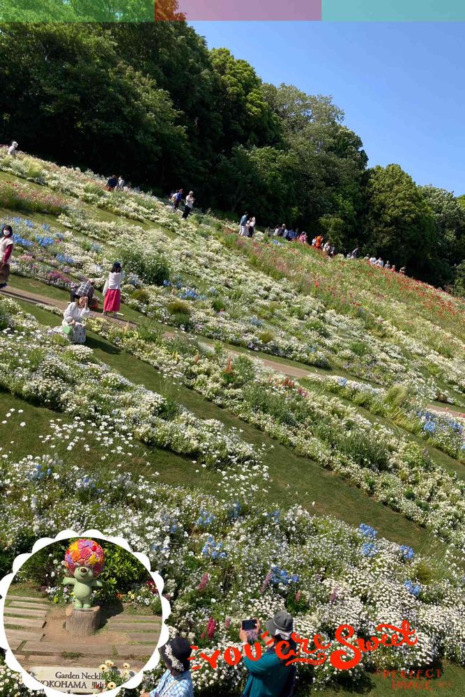 ユダコさんの里山ガーデン（大花壇）への投稿