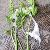 三日月ネックレスの画像