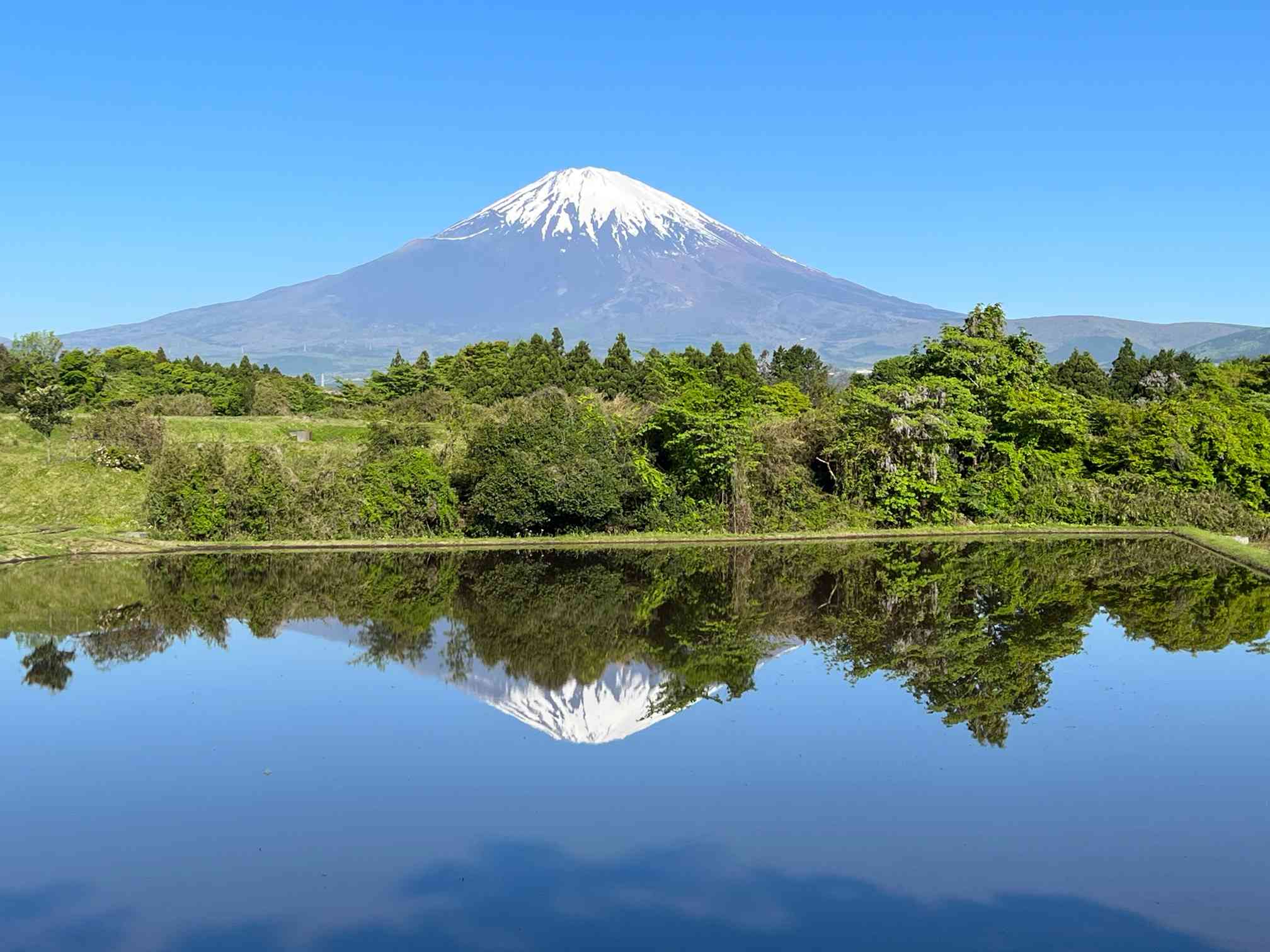 5月の富士山と麓の景色 更新しました｜🍀GreenSnap（グリーンスナップ）