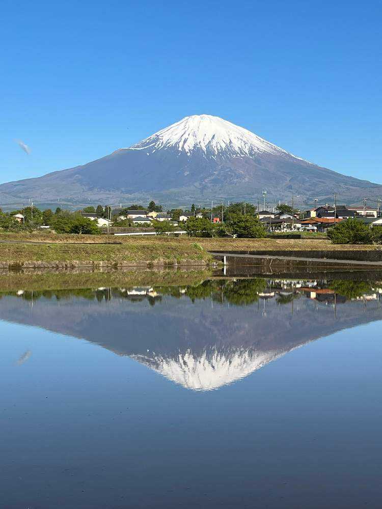 富士山麓が陰の本営だった 隠れ南朝史　加茂喜三著 匿名配送 匿名配送 送料無料 5月の富士山と麓の景色 更新しました｜🍀GreenSnap（グリーンスナップ）