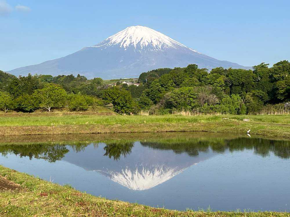 5月の富士山と麓の景色 更新しました｜🍀GreenSnap（グリーンスナップ）