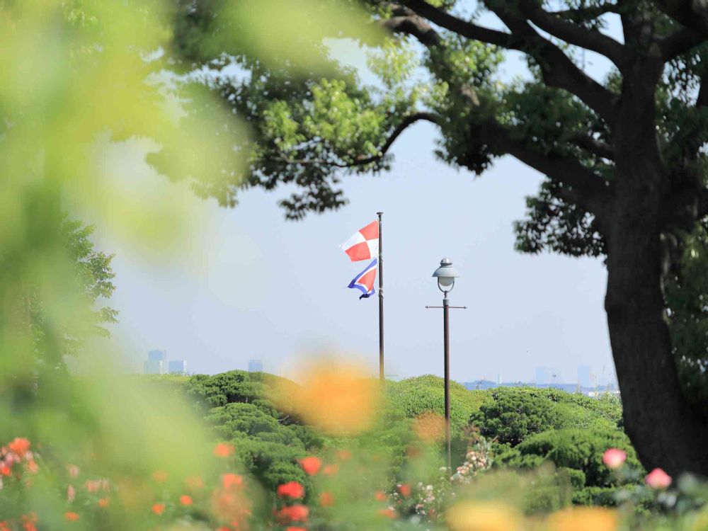 takosyaさんの港の見える丘公園への投稿