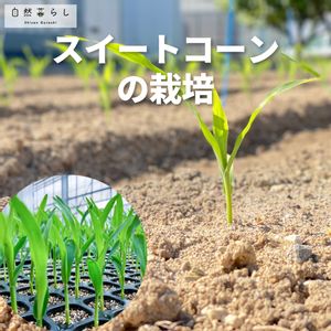 ガーデニング,植物のある暮らし,肥料,プランター栽培,ベランダ菜園の画像