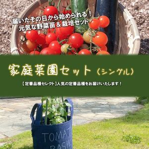 収穫,プランター菜園,ベランダ菜園,野菜作り,家庭菜園初心者の画像