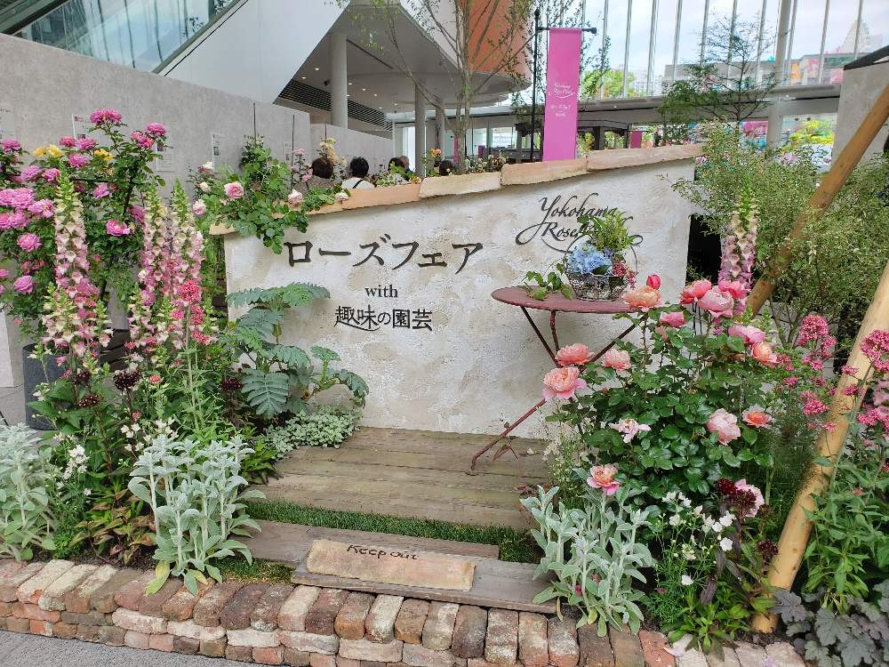 送料無料当店人気商品 ヒラヒラ花びらのお上品な素敵な薔薇ちゃん 薔薇