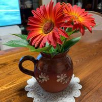 ガーベラ,芍薬の葉,部屋の画像