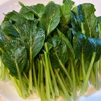 小松菜,収穫物,自家製,プチ家庭菜園,#無農薬の画像