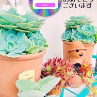 七福神,神刀,火祭り,多肉植物,ボタニカルの画像