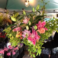 グリーンのある暮らし,マルシェ,大崎,恵比寿,花のある暮らしの画像