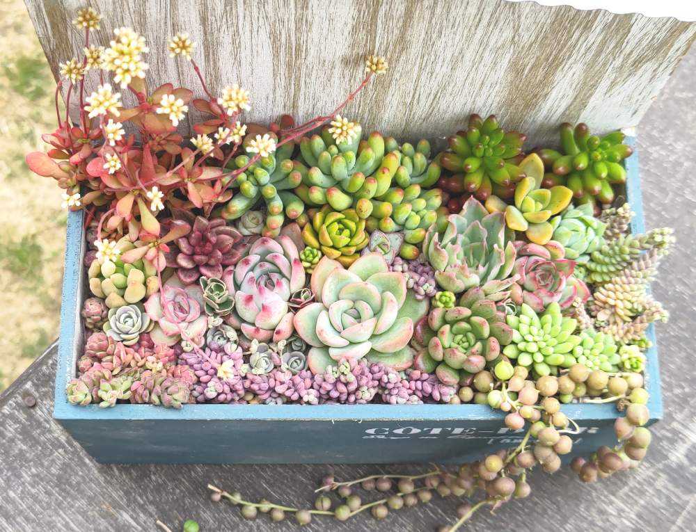 1684157659883_thum_552648_2023