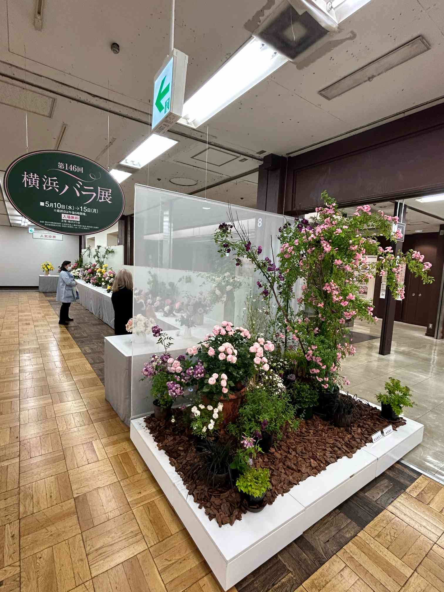 横浜高島屋で開催された横浜バラ展に行ってきました。｜🍀GreenSnap