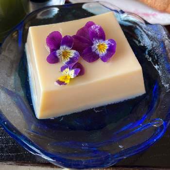 エディブルフラワー,ビオラ,ごちそうさまでした,紫の花,キッチンの画像