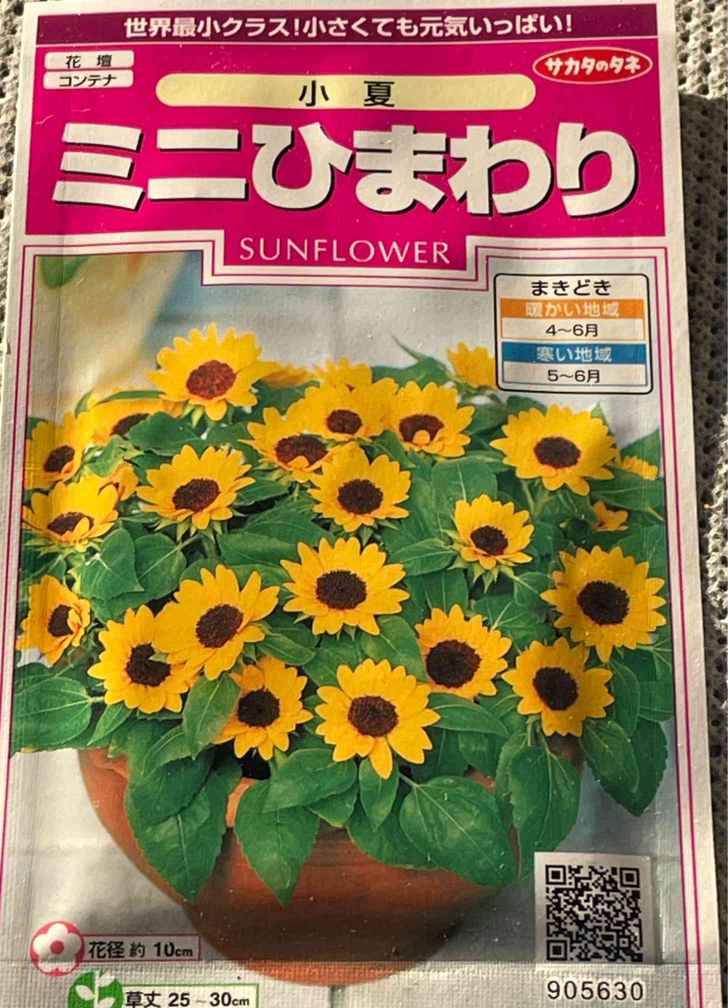 ミニひまわり 小夏ちゃんを育てよう💛 (R5.8/12 更新にて終了