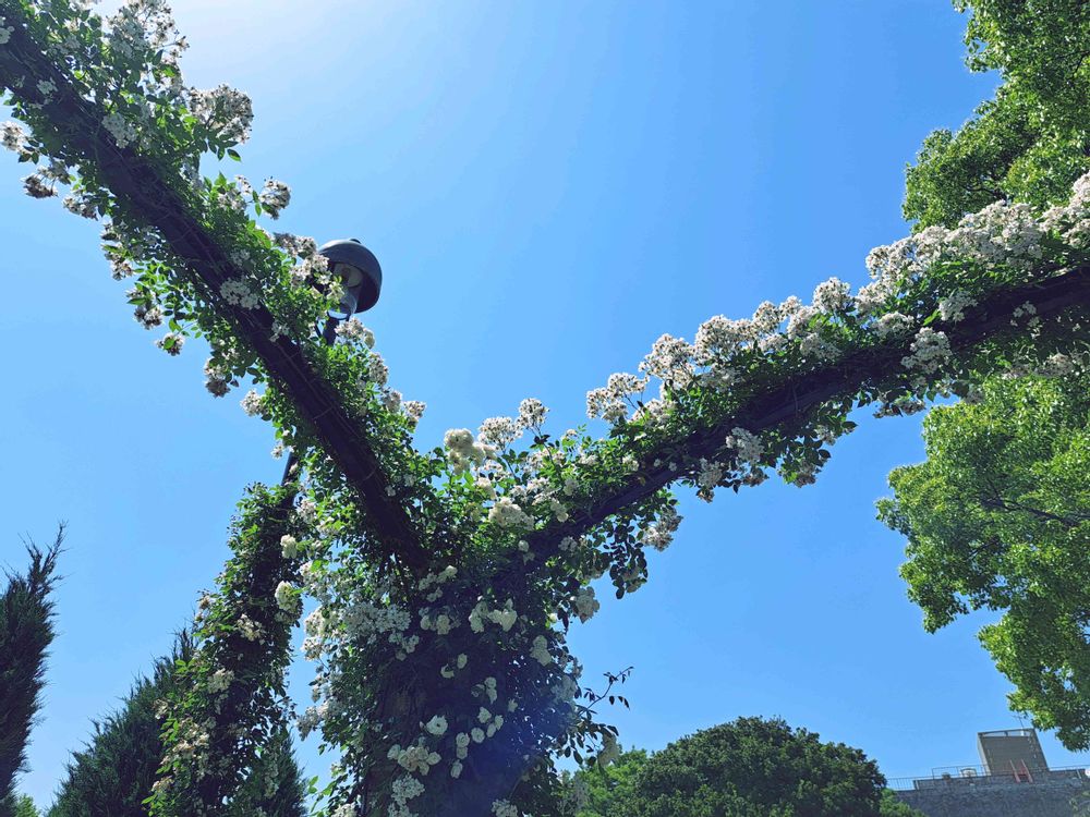 エリィさんの港の見える丘公園への投稿