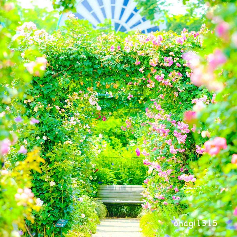 おはぎさんの港の見える丘公園への投稿