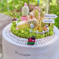 サボテン,サボテン寄せ植え,箱庭 サボテン,箱庭,セダムの画像