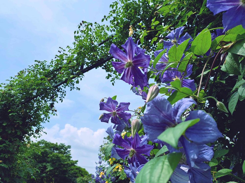 エリィさんの港の見える丘公園への投稿