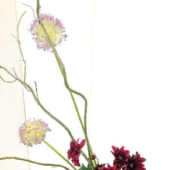 花瓶,和モダン,花瓶に生けた花,庭の花を生ける,紫蘭（シラン)の画像