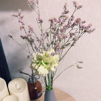 カーネーション♡,一輪挿し,ドライフラワー,ピンクのかすみそう,母の日の画像